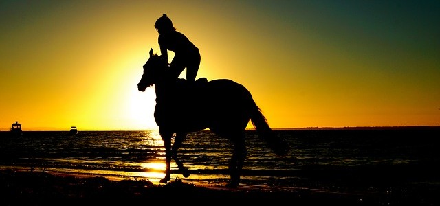 Ausbildungsskala des Reiters