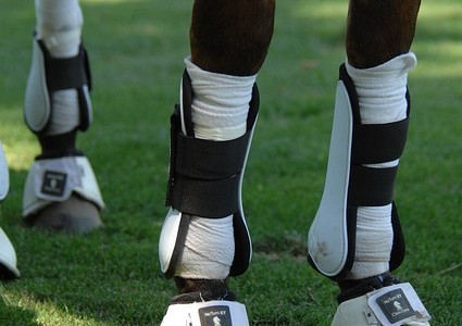 Bandagen und Gamaschen