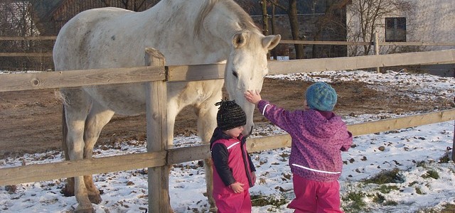 Pferd fördert Charakter