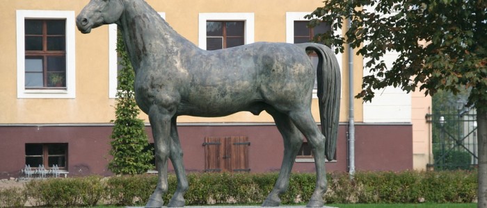 Hengstleistungsprüfung