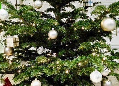 Weihnachtsbaum