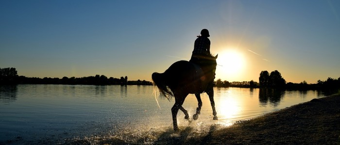 Verbesserung des Galopps